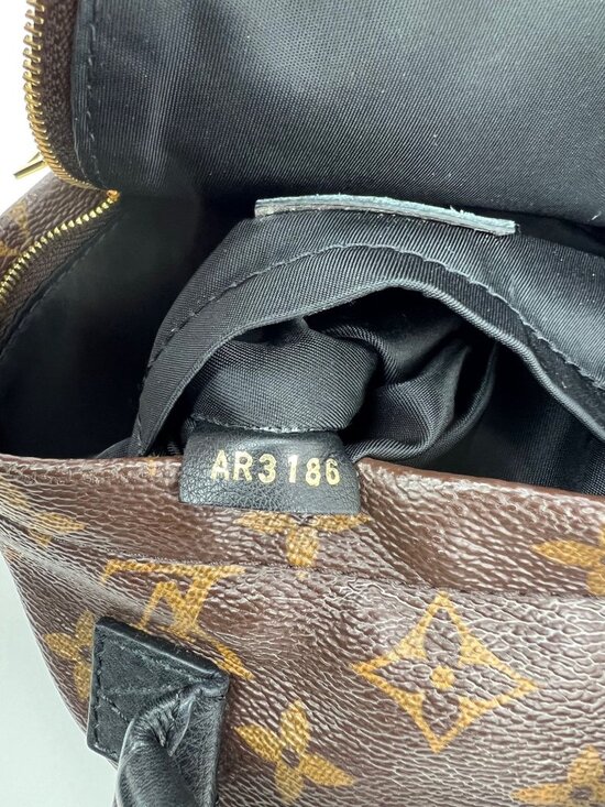 Louis Vuitton Palm Springs Mini Monogram Backpack Bag main image 13